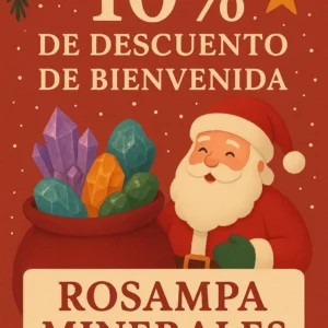 OFERTA DE BIENVENIDA Y NAVIDAD