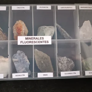 Colección Fluorescentes con linterna