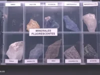 Fluorescentes + linterna