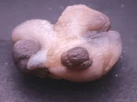 Calcedonias de Marruecos