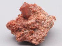 Jacintos de Compostela MP